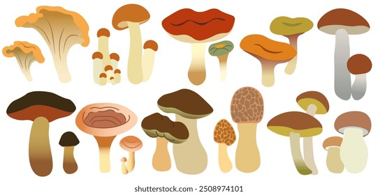 color isolated autumn mushrooms vector illustration set. element for logo sticker poster print design decor backgrounds