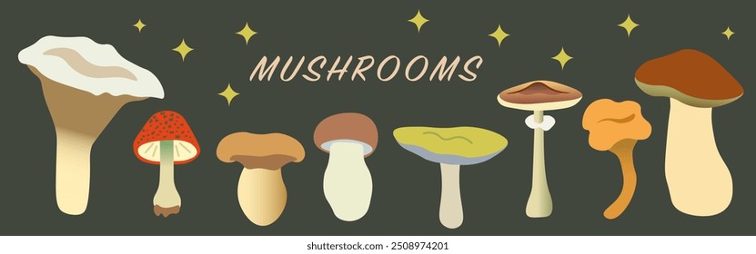 color isolated autumn mushrooms vector illustration set. element for logo sticker poster print design decor backgrounds