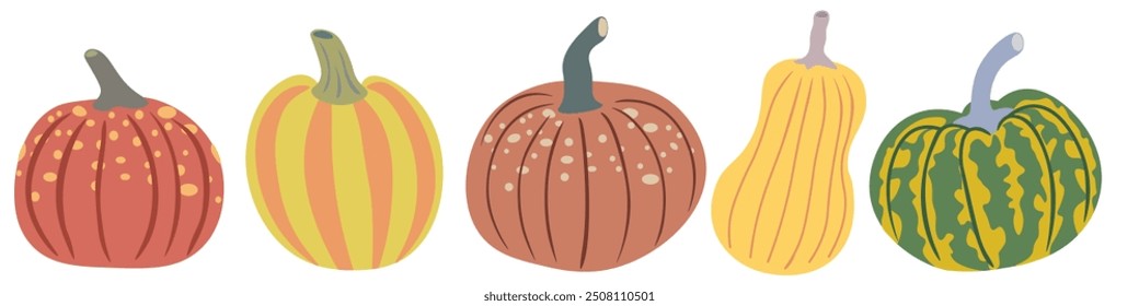 color isolated autumn pumpkins vector illustration set. element for logo sticker poster print design decor backgrounds