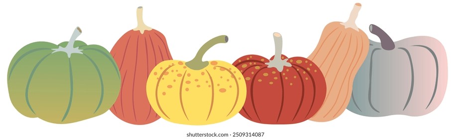 color isolated autumn pumpkins vector illustration set. element for logo sticker poster print design decor backgrounds