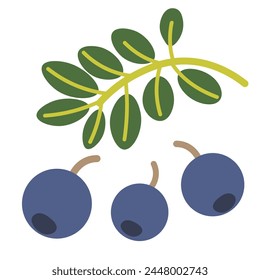 color de arándano aislado en forma plana estilo en Vector. Imagen de alimentos ecológicos saludables naturales. Plantilla para el diseño de decoración de impresión de póster de pegatina de logotipo