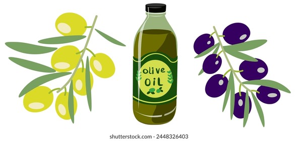 color isolated bottle of olive oil and olive blanches in flat shape style in vector. image of natural healthy eco food.template for logo sticker poster print decor design