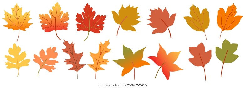 color isolated cute character autumn leaves cartoon vector illustration. element for logo sticker poster print mascot design decor backgrounds