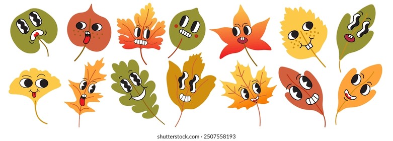 color isolated cute character autumn leaves cartoon vector illustration. element for logo sticker poster print mascot design decor backgrounds