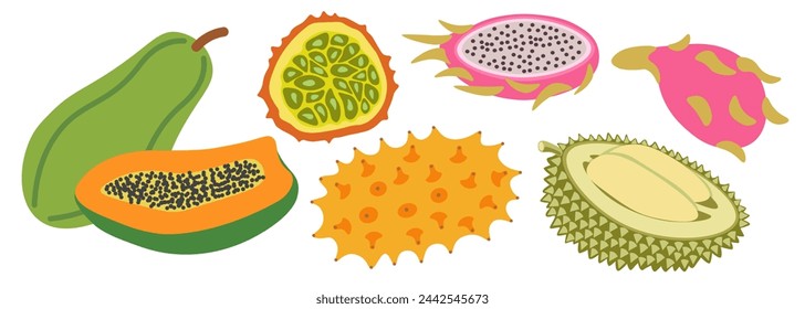 color isolated exotic fruit in flat style in vector. image of natural healthy eco food.template for logo sticker poster print decor design
