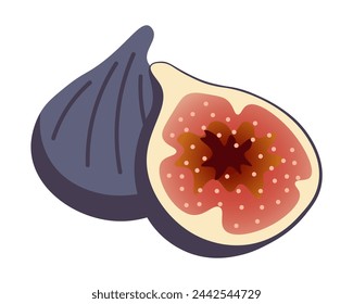 color isolated fruit fig in flat style in vector. image of natural healthy eco food.template for logo sticker poster print decor design