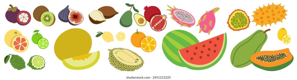 color isolated fruits collection in flat style in vector. image of natural healthy eco raw food.template for logo sticker poster print decor design