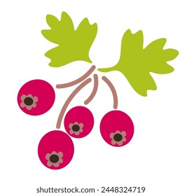 color isolated hawthorn berry in flat shape style in vector. image of natural healthy eco food.template for logo sticker poster print decor design