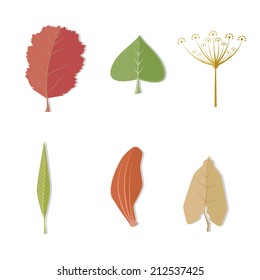 Color isolated image of a leaves. Vector illustration