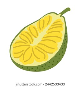 color isolated jackfruit in flat style in vector. image of natural healthy eco food.template for logo sticker poster print decor design