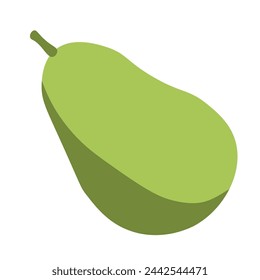 color isolated jackfruit in flat style in vector. image of natural healthy eco food.template for logo sticker poster print decor design