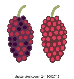 color isolated mulberry in flat shape style in vector. image of natural healthy eco food.template for logo sticker poster print decor design