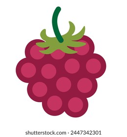 color isolated raspberry in flat shape style in vector. image of natural healthy eco food.template for logo sticker poster print decor design
