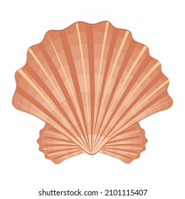 Color isolated seashell, isolated vector illustration in cartoon style