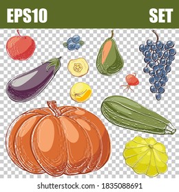 Color Isolated Vegetables Set: Pumpkin, Squash, Zucchini, Eggplant, Quince, Grape, Apple, Pear, Blueberry, Dog-rose. Vector Illustration