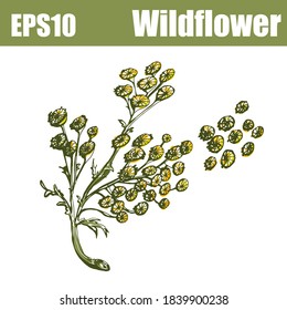 Conjunto de flores silvestres aisladas en color. Ilustración del vector