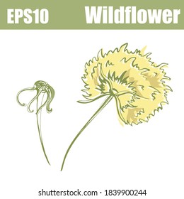 Conjunto de flores silvestres aisladas en color. Ilustración del vector