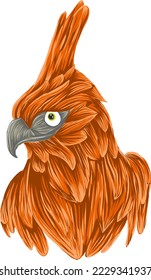 ilustración vectorial de águila javanesa de color
