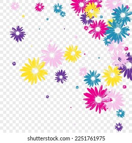 Color Leaf Background Transparent Vector. Floral Exotic Banner. Bright Flower Factory. Light Backdrop. Present Green Daisy.