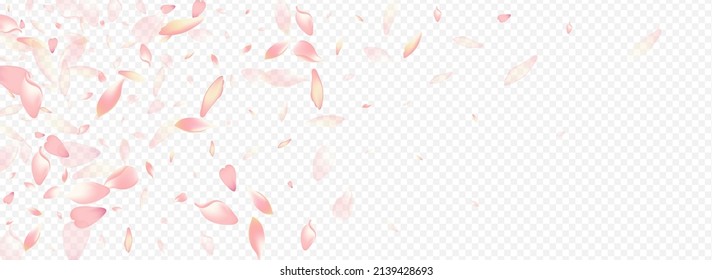 Color Leaf Vector Panoramic Transparent Background. Rosa Romantic Texture. Confetti Marriage Card. Sakura Down Congratulation. White Floral SummerDrop Design.