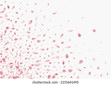 Color Leaf Vector Transparent Background. Bloom Wedding Backdrop. Blossom Blur Design. Cherry Isolated Texture. Purple Petal Valentine Illustration.