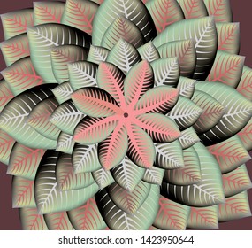 Color leafs arrange in different way of pattern