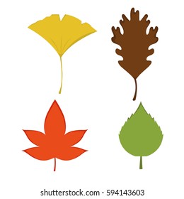color leaves