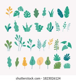 Hojas de color, plantas y conjunto de vectores de origen de árboles. ilustración de diseño plano