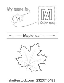 Color the letter and picture. Educational children game. Coloring alphabet. Letter M and maple leaf.