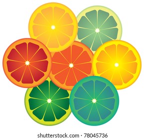 color lime circles - isolated illustration