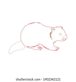 color line animal beaver icon vector illustration