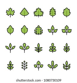 Color line icon set of Leaf. Pixel perfect icons