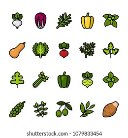 Color line icon set of Vegetables. Pixel perfect icons