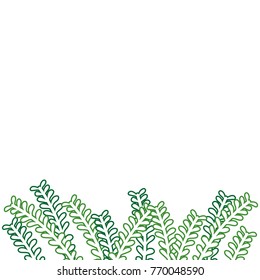 color line natural rustic branches with leaves design