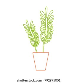 color line naturals plants inside pot with leaves