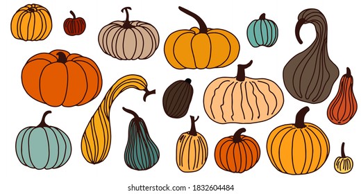 Color line pumpkins of different sizes isolated on white background. Flat lay. Vector illustration