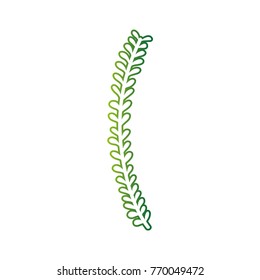 color line rustic branch with natural leaves design