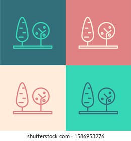 Color line Trees icon isolated on color background. Forest symbol.  Vector Illustration