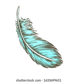 Color Lost Bird Outer Element Feather Monochrome Vector. Decorative Feather Flyer Detail Aid In Flight, Thermal Insulation And Waterproofing. Designed In Retro Style Illustration
