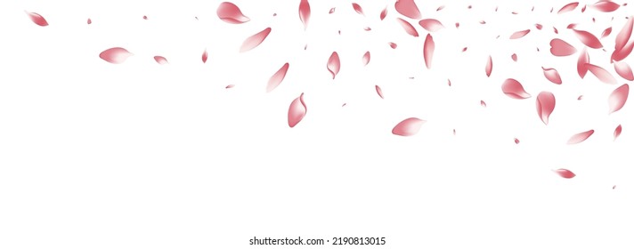 Color Lotus Petal Vector fondo blanco. Producto Petal Sakura Volador Rosa. Pancarta Delicada de Rose Petal. Marco de Apple Petal japonés.