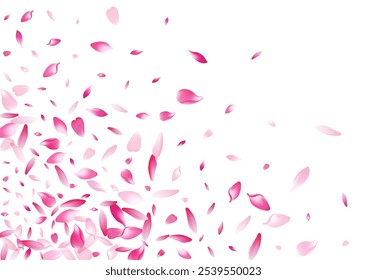 Cor Fundo branco do vetor da pétala do lótus. Fundo de pétala de flor de verão rosa. Capa de flor de pétala de maçã. Andar Sakura Petal Design.