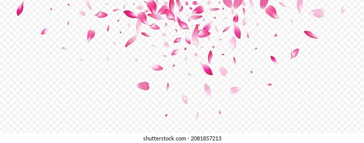 Color Lotus Vector Panoramic Transparent Background. Flower Springtime Illustration. Leaf Dream Banner. Rosa Valentine Cover. Bright Blossom Down Texture.