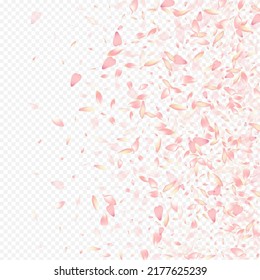 Color Lotus Vector Transparent Background. Flower Blur Congratulation. Peach SummerDrop Poster. Tree 3d Template. Red Rose Romantic Design.