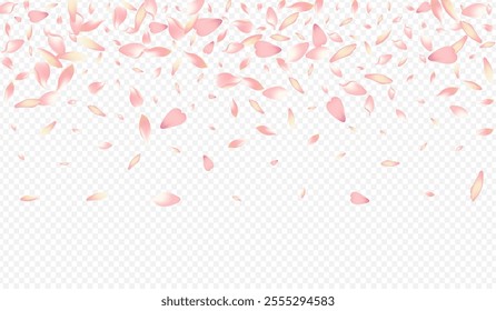 Color Lotus Vector Transparent Background. Flower Rain Illustration. Confetti Japanese Banner. Peach Down Template. White Sakura Graphic Cover.