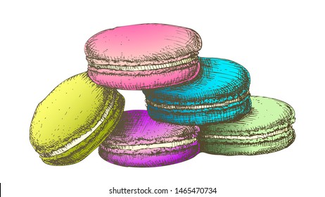 Color Macaroon Biscuit Sweet Dessert Vintage Vector. French Bakery Confectionery Delicious Cookie Macaroon Concept. Designed In Retro Style Gastronomy Product Template Illustration