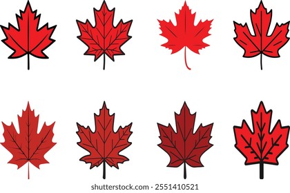 Color Maple Leaf Vector icon Illustration
