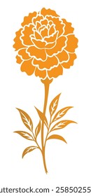 color Marigold flower vector illustration