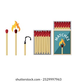 A color match set. Matches in a box, a match, a burning match, a burnt match. Vector illustration for design and web.
