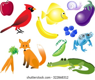 Color matching with animals, fruit, and vegetables. Items from nature chosen for colors that match. For teachers and students learning color names in education or school.