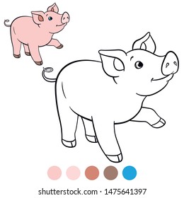 Color me: farm animals. Little cute piglet stands and smiles.